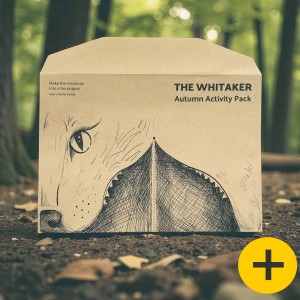 C5 162 x 229mm - Printed Single Colour